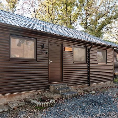 Chalet D'Un Ami Somme-Leuze Exteriör bild