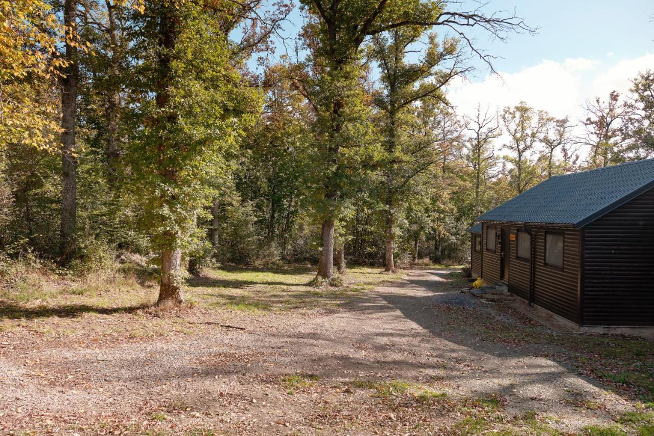 Chalet D'Un Ami Somme-Leuze Exteriör bild